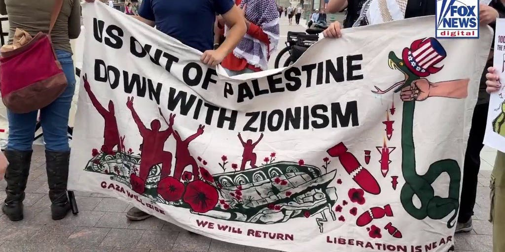 Three voices at pro-Palestinian protest answer one question: What is the solution? | Fox News Video