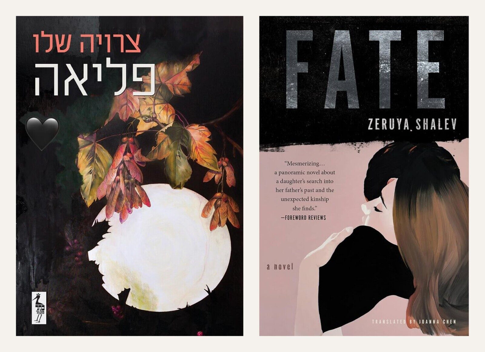 Book Review | Zeruya Shalev’s ‘Fate’