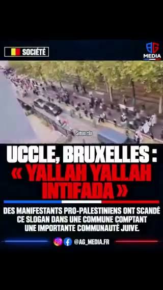 Pro-Palestinian demonstrators chant for intifada in Brussels – EJP